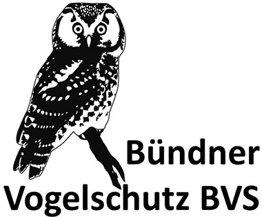 Bündner Vogelschutz BVS